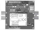 R1101 - analogue and digital weight amplifier